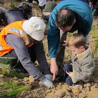 Biodiversity volunteering